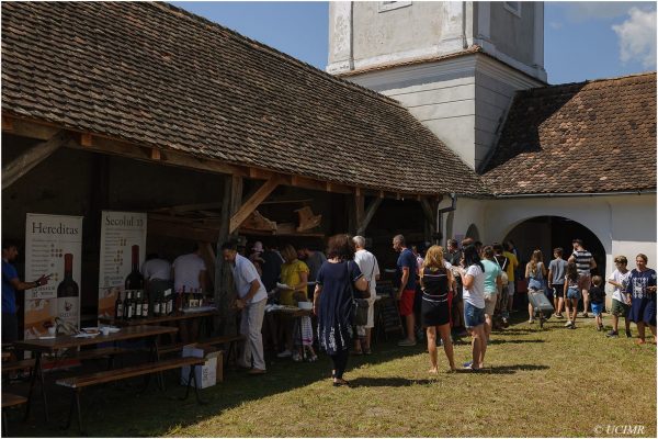 icon-arts-transilvania_2018_cloasterf_6