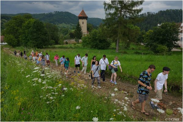 icon-arts-transilvania_2018_malancrav_30