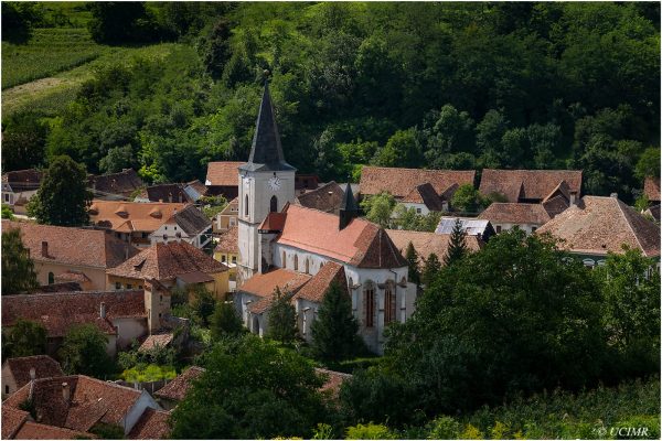 icon-arts-transilvania_2018_richis_1